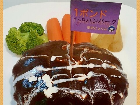 フードプロセッサーで粗挽き肉◎1ポンドハンバーグ